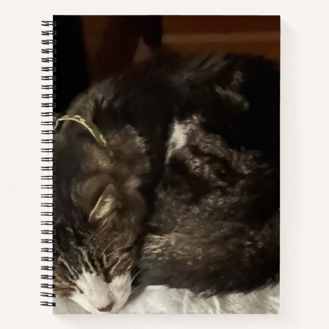 Keeno Carnet spiral circulaire parfait (Devant)