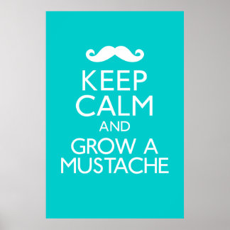 Keep Calm and Grow a Mustache Poster