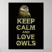 Keep Calm and Love Owls Poster Print Original Owl
