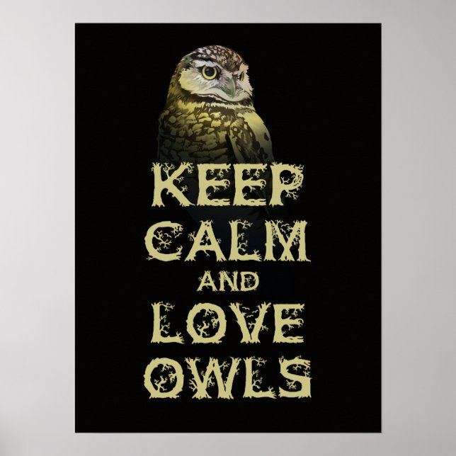 Keep Calm and Love Owls Poster Print Original Owl (Devant)