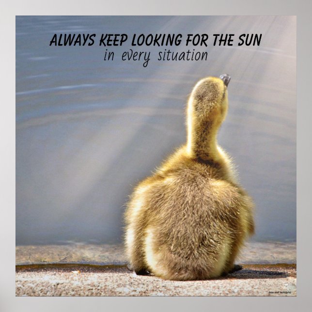 Keep Looking for the Sun Poster (Devant)