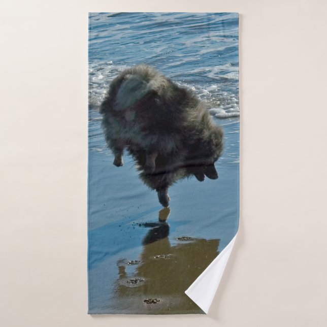 Keeshond Ballet Photographie - Joli chien d'origin (Serviette de bain)