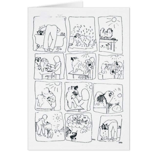 Keeshond Bathtime comique (Devant)