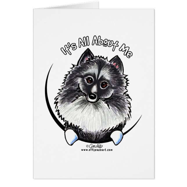 Keeshond IAAM (Devant)