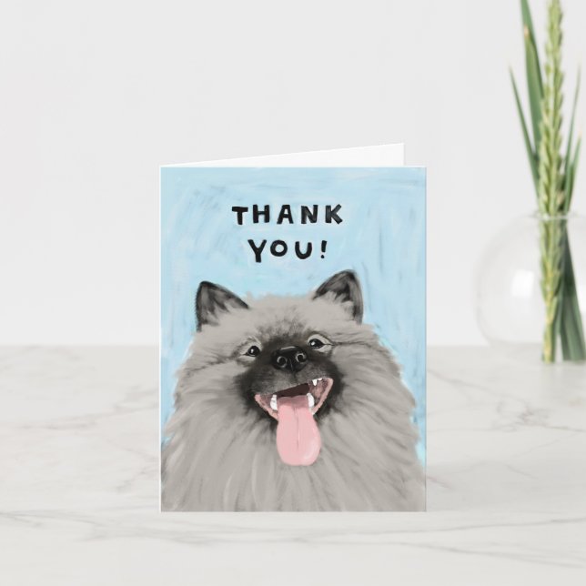 Keeshond souriant Merci (Devant)