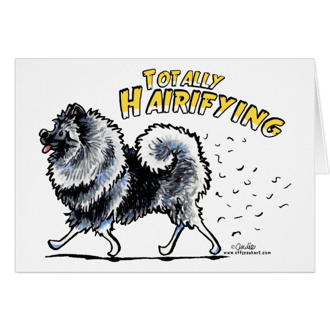 Keeshond Totalement Hairifiant (Devant horizontal)