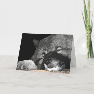 Keeshond toute carte de voeux d'occasion