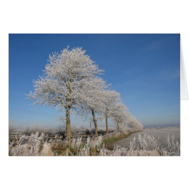 Kelso Trees (Devant horizontal)