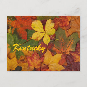 Kentucky Automne Feuilles Carte postale
