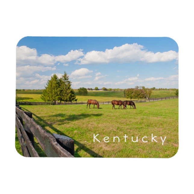 Kentucky, chevaux à la ferme à cheval Photo Magnet (Horizontal)