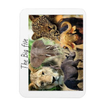 Kenya grand cinq magnets