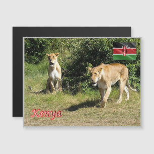 Kenya - Lionesses -