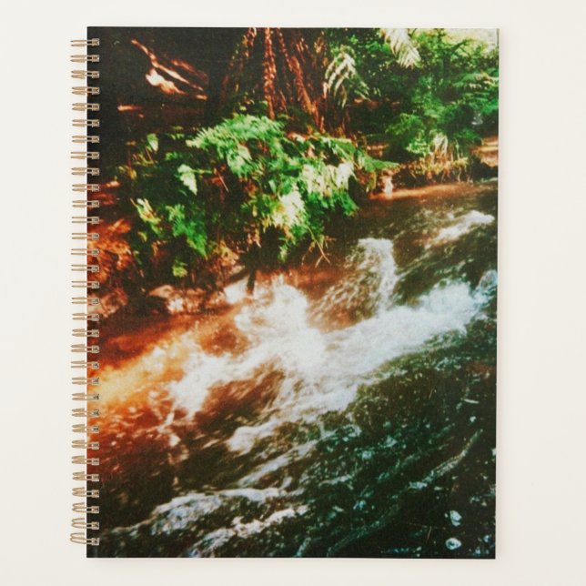 Kerosene Creek, Rotorua, Nouvelle-Zélande (Devant)
