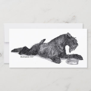Kerry Blue Terrier avec Bowl