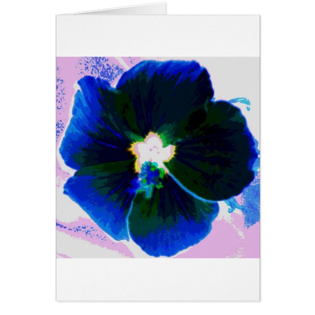 Ketmie Azul (Devant)