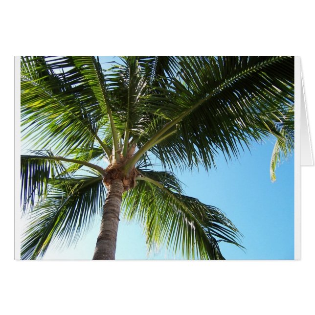 Key West (Devant horizontal)