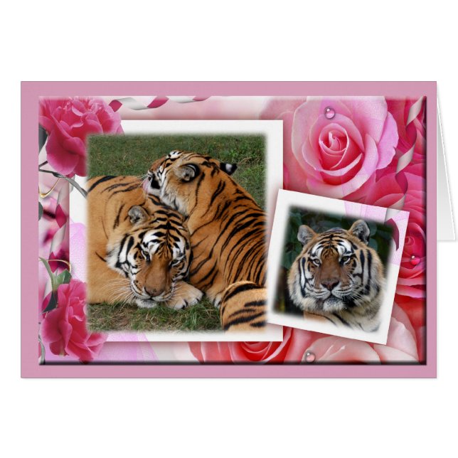 Khan-00100-65x45 (Devant horizontal)