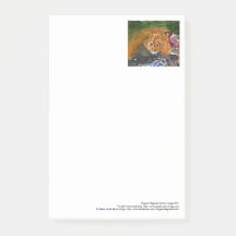 Kia les grandes notes de post-it de chat