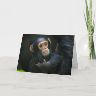 Kibale Chimpanzee - Carte de voeux pour nourrisson