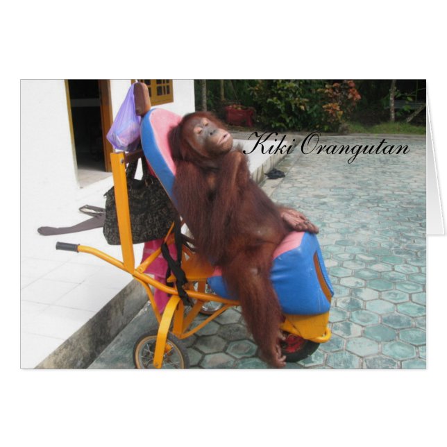 KiKi Orangutan OFI Charity (Devant horizontal)
