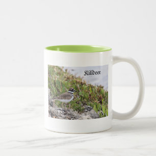 Killdeer Bird, Mug