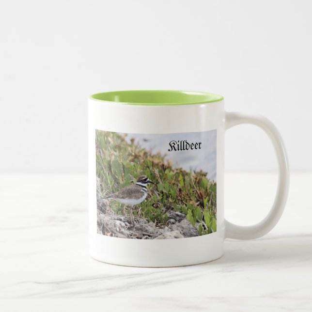 Killdeer Bird, Mug (Droit)