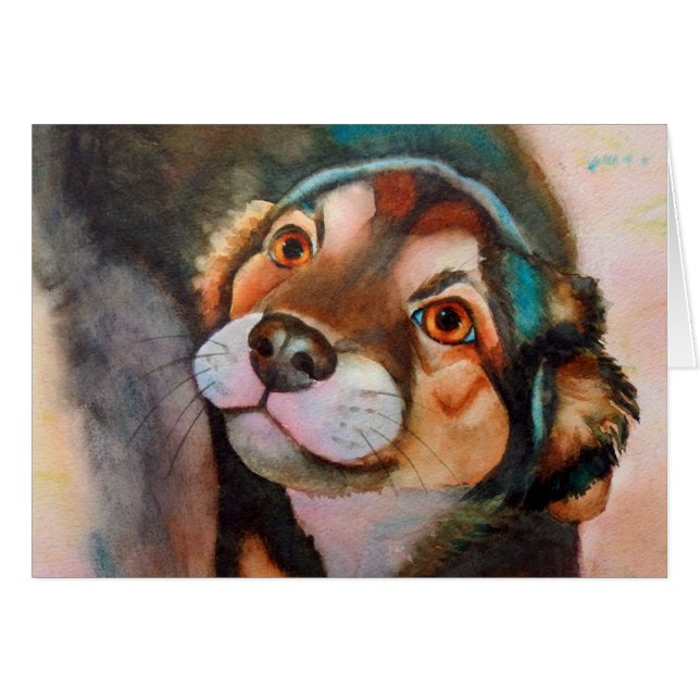 Kimba, Shepherd Terrier Mix (Devant horizontal)