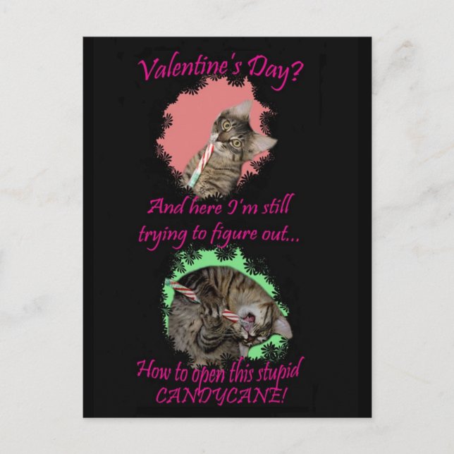 Kimber Candycane Carte postale de Valentine (Devant)