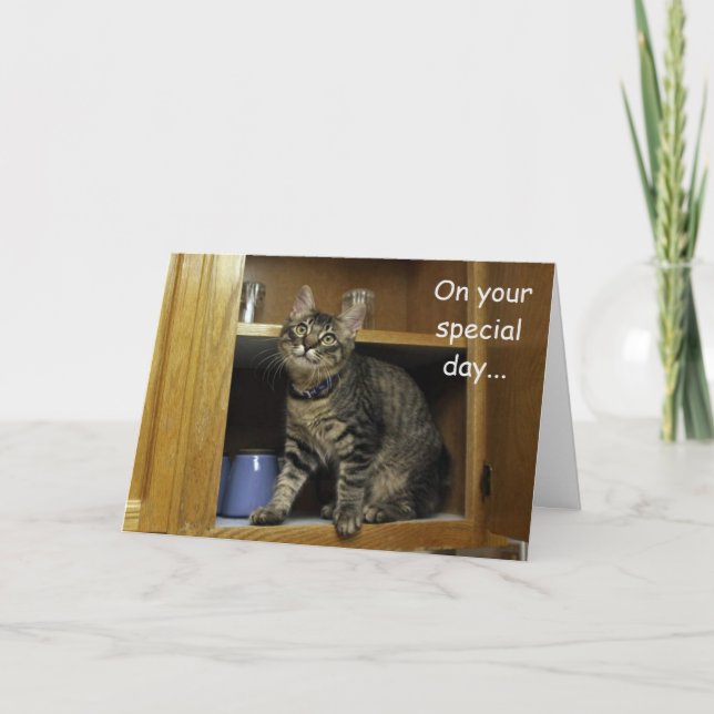 Kimber Kitten dans la carte de fête des mères en c (Devant)