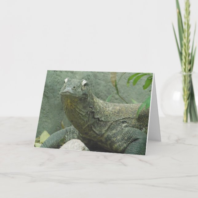 Kimono Dragon, Lizard, Merci Reptile, Carte pour n (Devant)