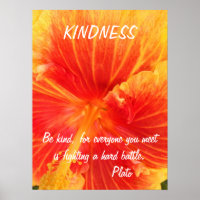 Kindness Inspiration Poster Citation Plato Hibiscu