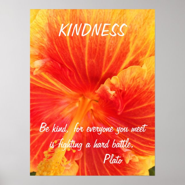 Kindness Inspiration Poster Citation Plato Hibiscu (Devant)