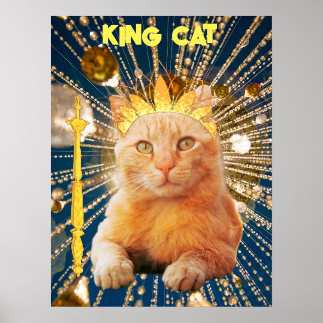 King Cat Funny Poster Animaux domestiques et anima (Devant)
