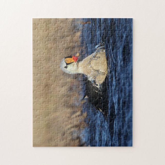 King Eider Bird Puzzle (Vertical)