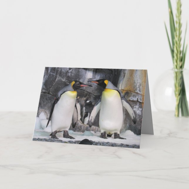 King Penguins - Je te vois Carte de voeux (Devant)