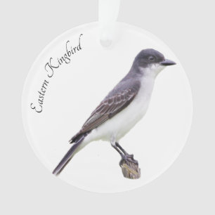 Kingbird