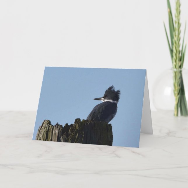 Kingfisher - Carte Art Cadre (Devant)