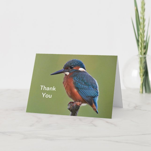 Kingfisher Carte de remerciements (Devant)