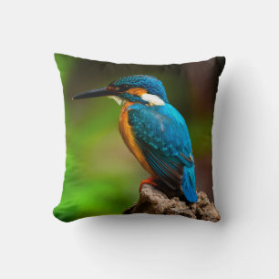 Kingfisher coussin de la nature