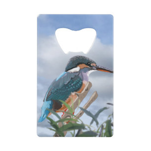 Kingfisher et Willow