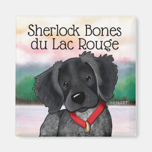 KiniArt Roan noir Magnet Bretagne