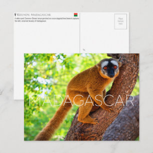 Kirindy, carte postale de voyage à Madagascar