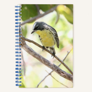 Kirtland's Warbler spiral bound bullet journal