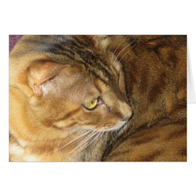 Kishka scintillant en or (Devant horizontal)