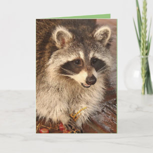 Kit Raccoon avec carte de note vierge Grappes