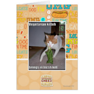 Kitteh végétarien