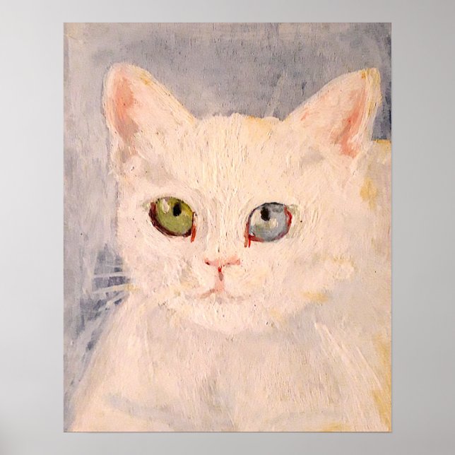 Kitten blanc avec oeil bleu et affiche de l'oeil v (Devant)