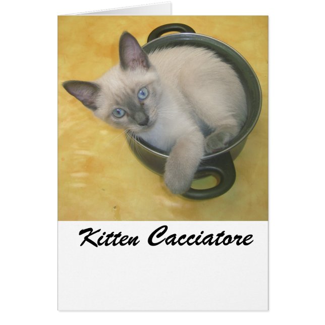 Kitten Cacciatore (Devant)