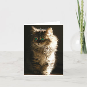 Kitten Carte pour notes