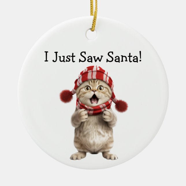 Kitten Christmas Fun Chat Ornement (Devant)